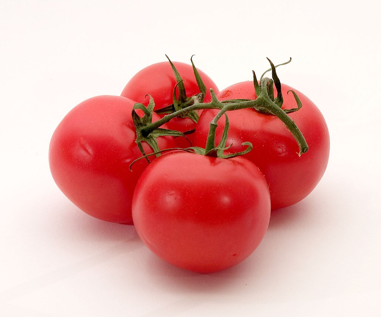 Fresh red tomatoes on the vine