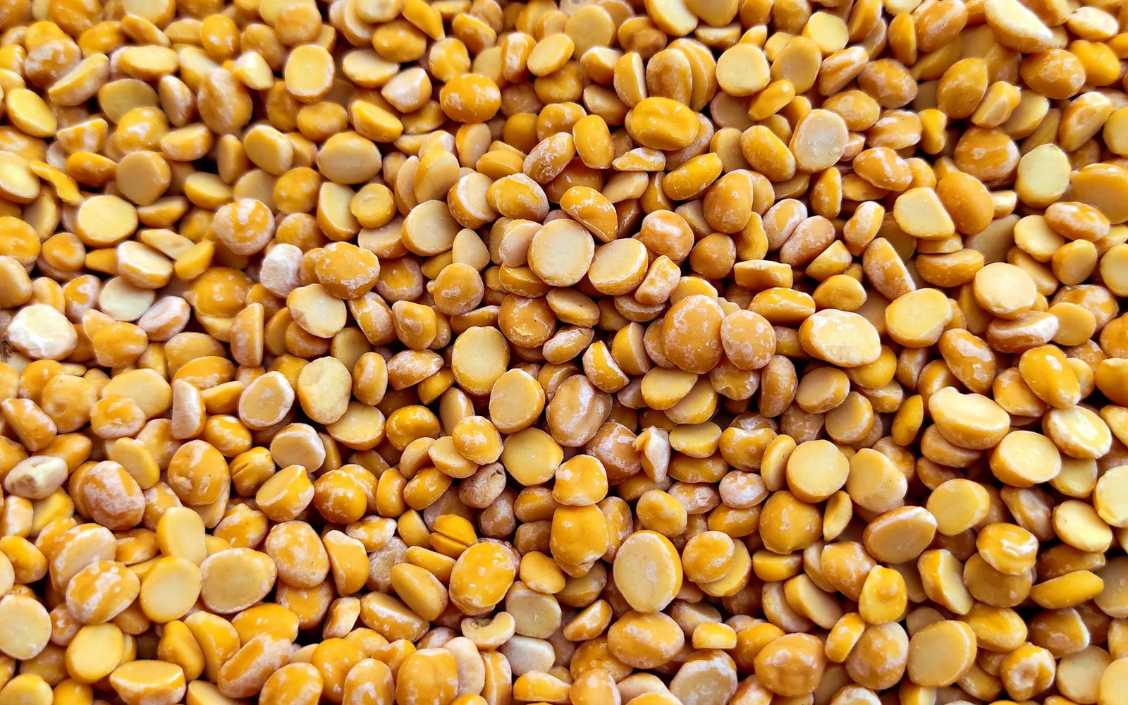 Close-up of uniformly graded lentils