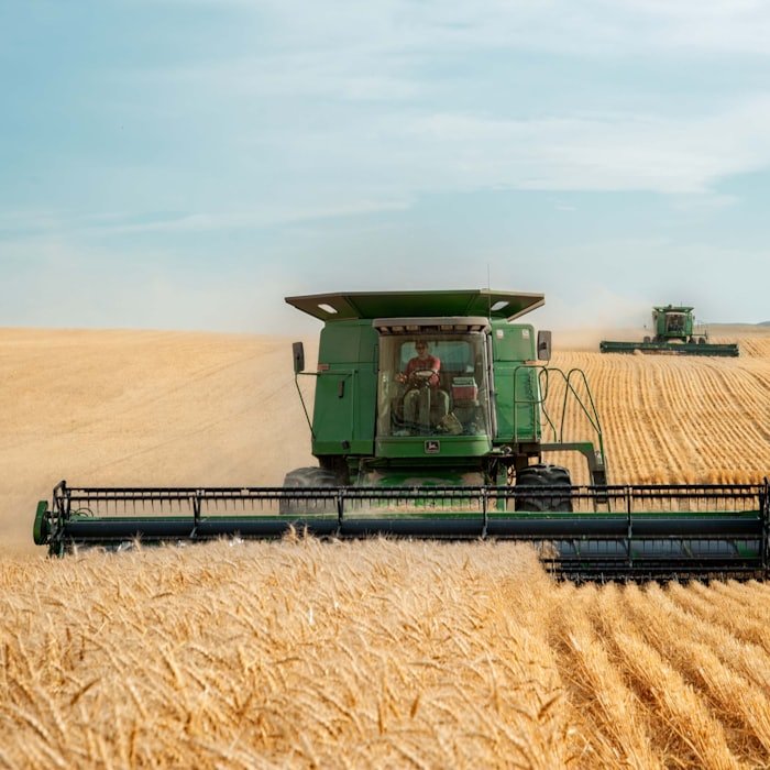 A combine harvester working a golden wheat field
