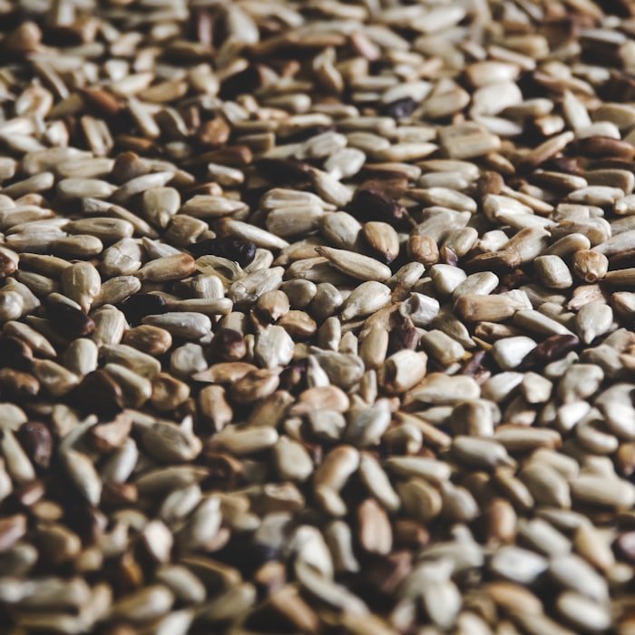 Hulled sunflower kernels