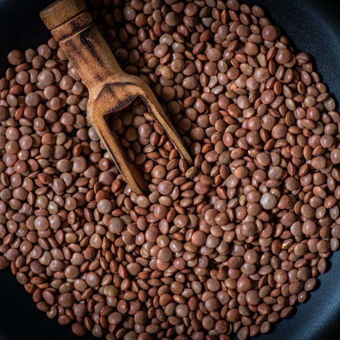 Whole lentils being scooped from a tray